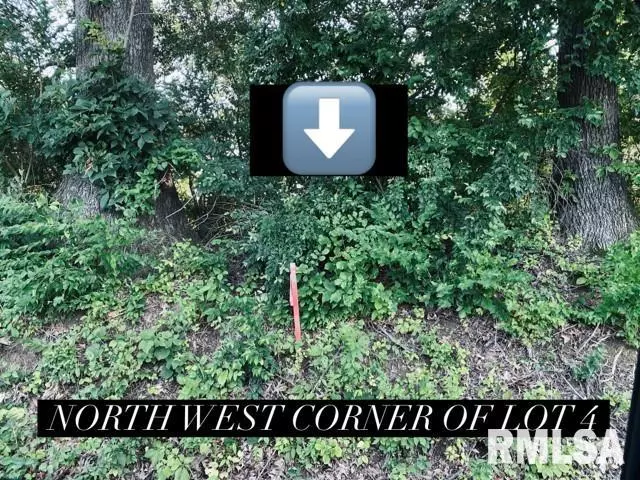 Carbondale, IL 62901,Lot 3 FALCON RD