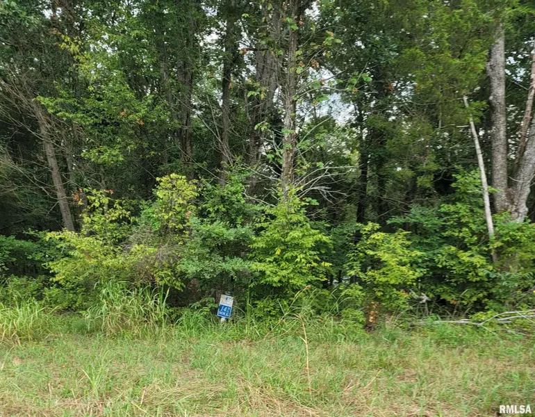 Lot 142 & 143 CHERRY, Goreville, IL 62939