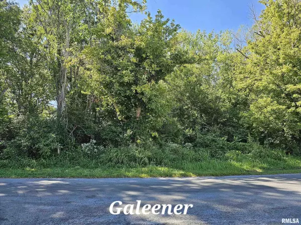 Vienna, IL 62995,TBD Galeener ST