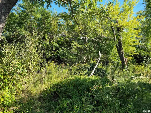 Bonnie, IL 62816,175 E LANG LN