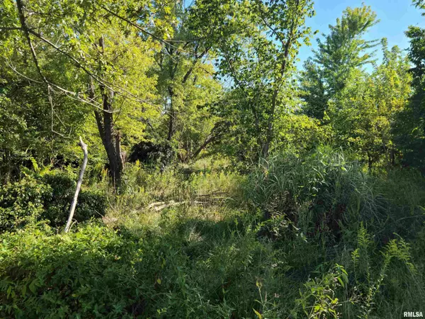 Bonnie, IL 62816,175 E LANG LN