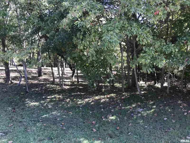 Lot 1031 John Able DR, Goreville, IL 62939