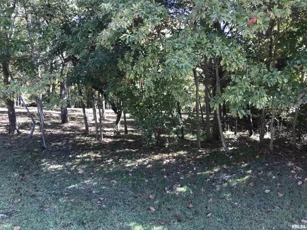 Goreville, IL 62939,Lot 1031 John Able DR