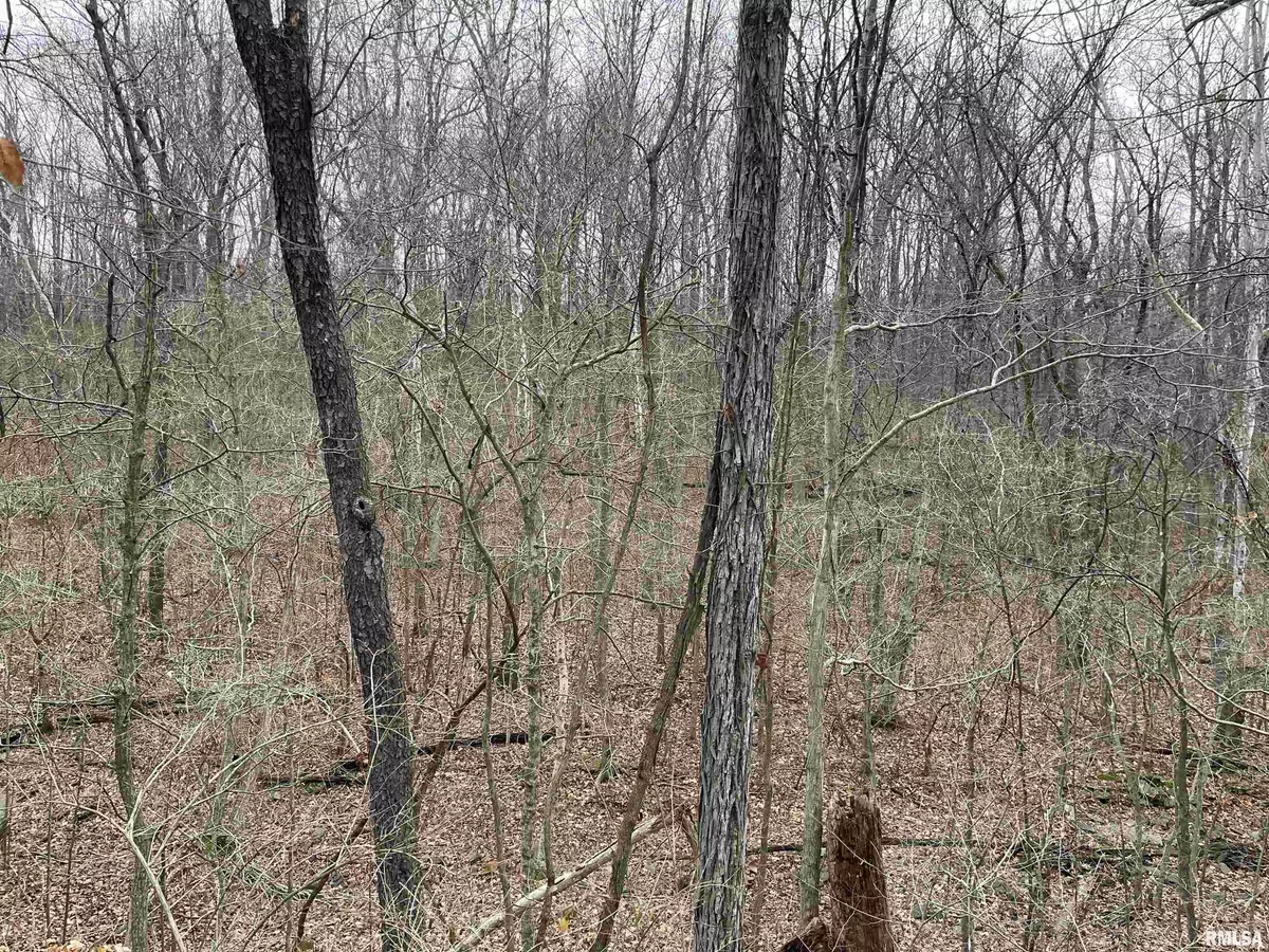 Alto Pass, IL 62806,000 CEDAR ST