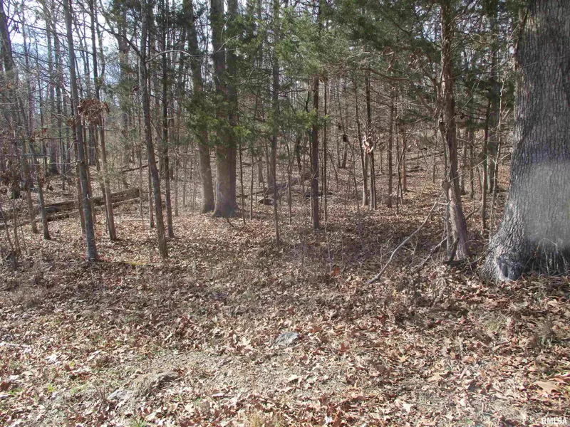 0000 N LAKE SHORE DR, Goreville, IL 62939