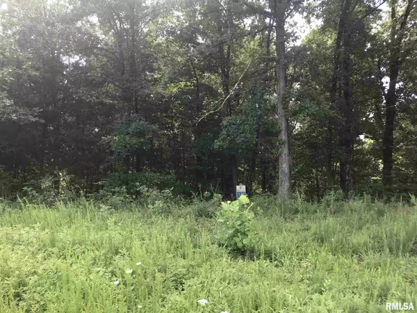 Goreville, IL 62939,0000 Clifty LN