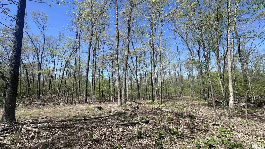 00 E Night RD, Dix, IL 62830