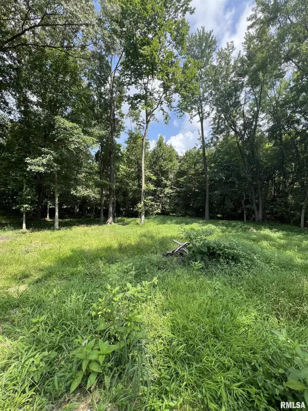 Cambria, IL 62915,TBD Lot 7 8 9 KENTUCKY ST