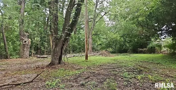 Murphysboro, IL 62966,360 WELLS ST