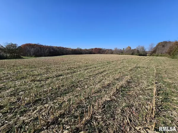 0000 N Stanford LN, Opdyke, IL 62872
