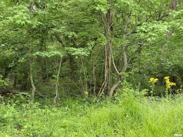 Carbondale, IL 62901,Lot 4 Choctaw DR