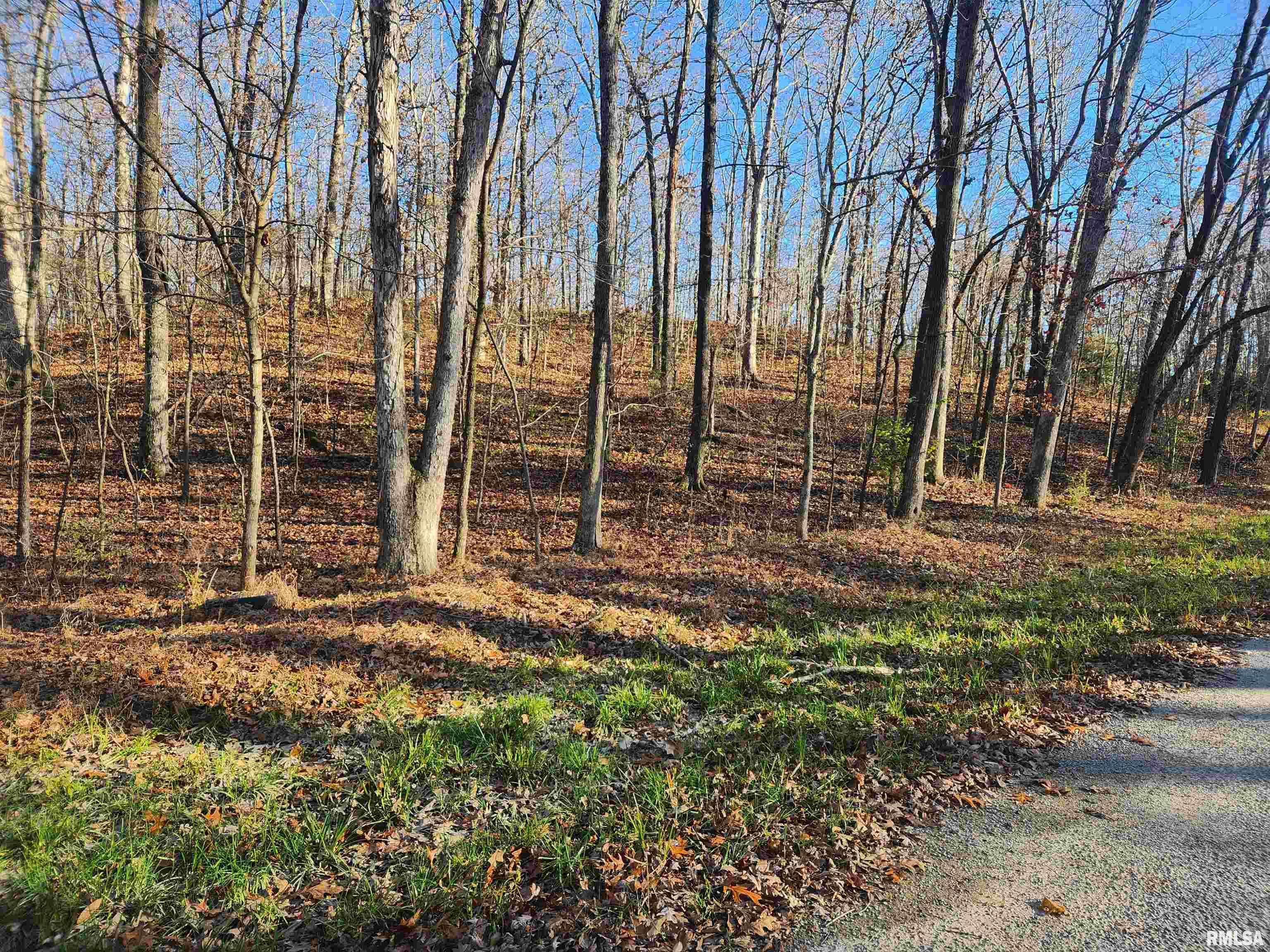 Pinckneyville, IL 62274,000 W LAKE RD