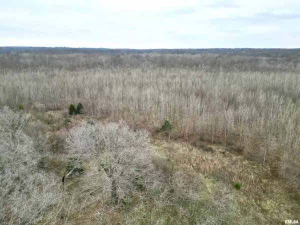 Bluford, IL 62814,000 E Malachi RD