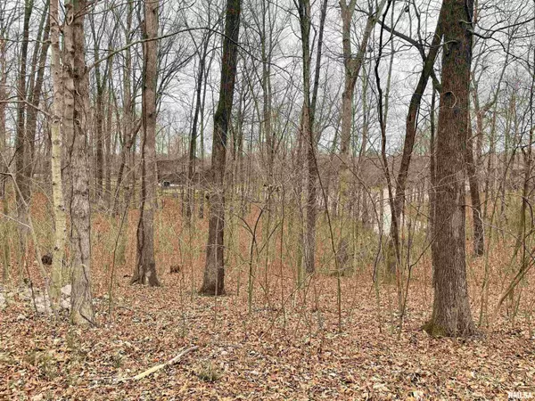 Murphysboro, IL 62966,0000 IROQUOIS TRL