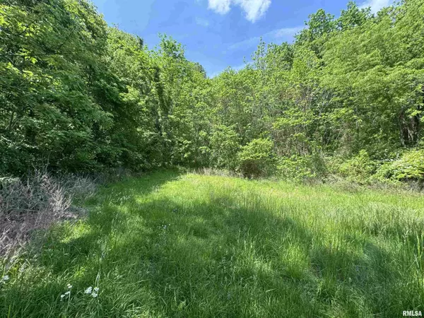 Tamms, IL 62988,000 PLEASANT VALLEY LN