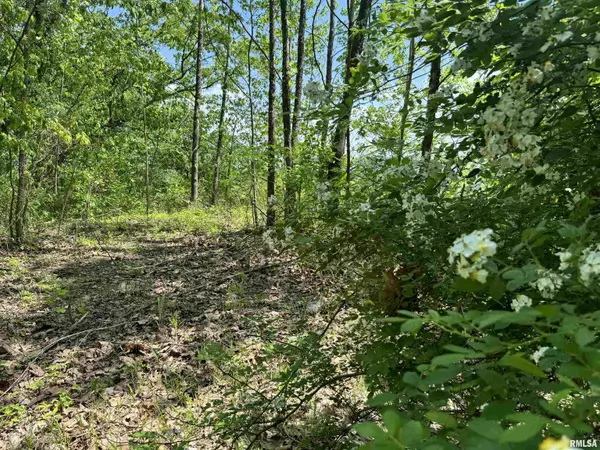 Tamms, IL 62988,000 PLEASANT VALLEY LN