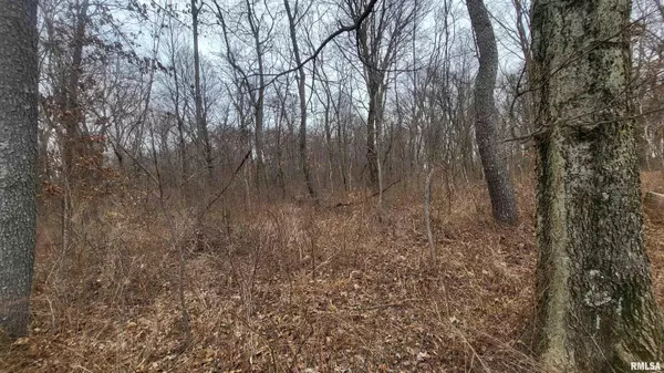 Kell, IL 62853,679 N JOHNSON ST