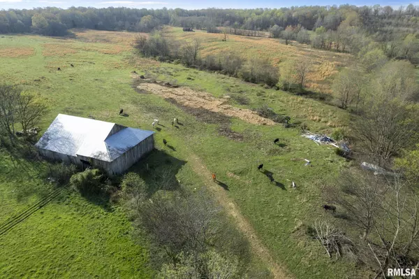 60 HARRIS LN, Brookport, IL 62910