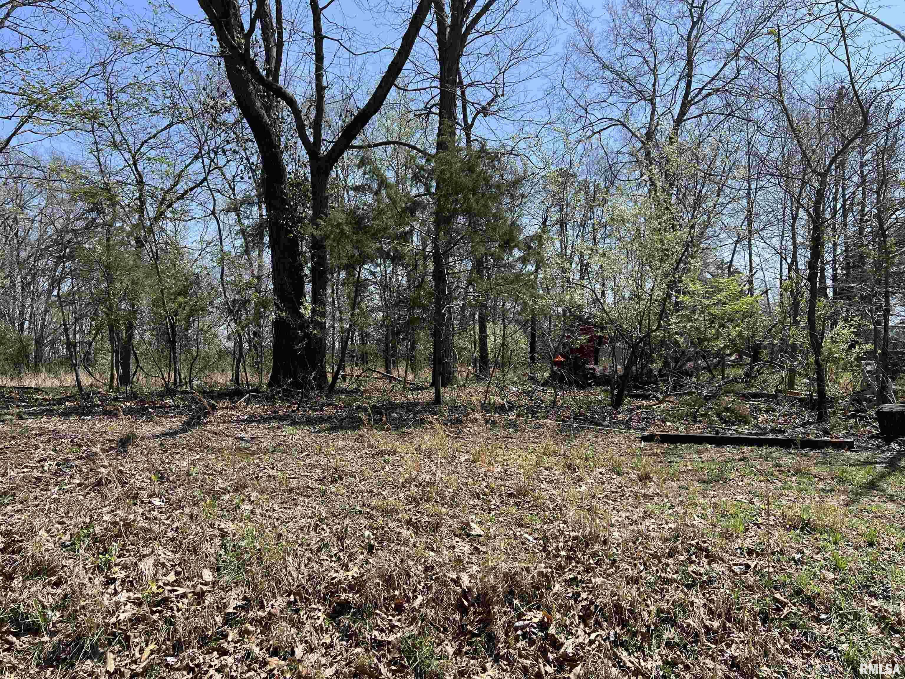 Lot 442 THOMPSON DR, Goreville, IL 62939