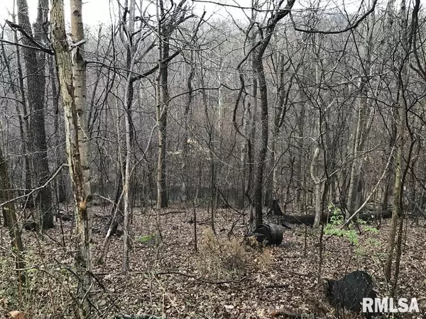 Goreville, IL 62939,00 DEER RIDGE RD