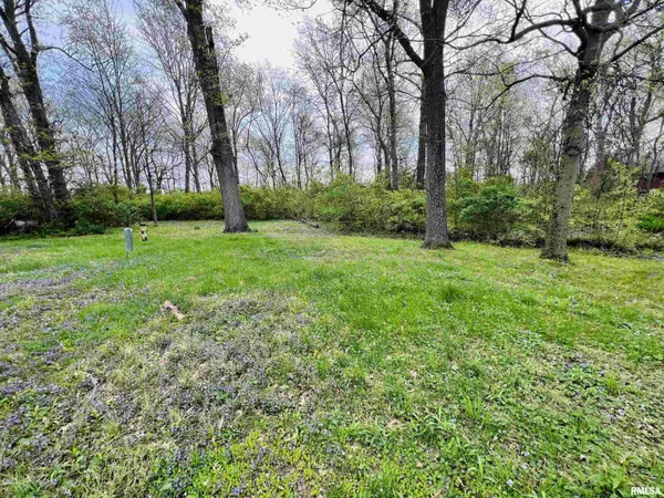 Woodlawn, IL 62898,13162 N DAYTON LN