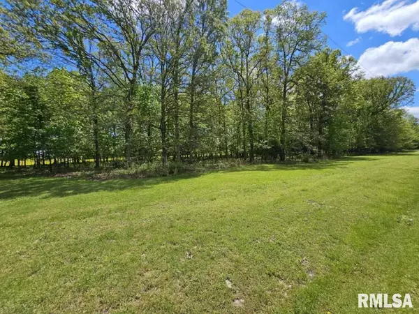 Dix, IL 62830,Lot 2 N WILDWOOD PL
