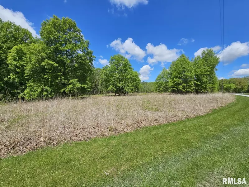 Lot 41 N DEER PARK DR, Dix, IL 62830