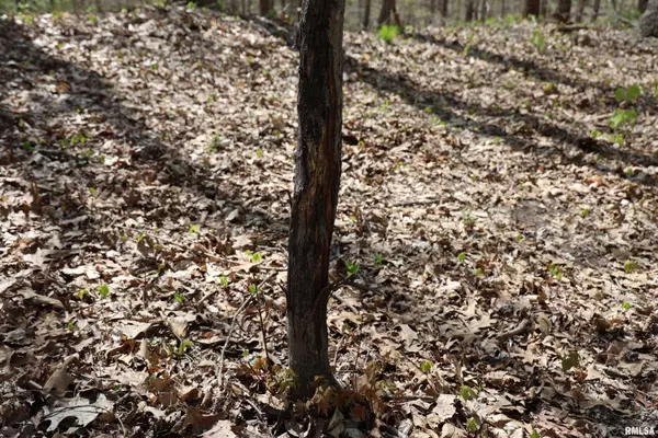 Thebes, IL 62990,000 Bean Ridge RD