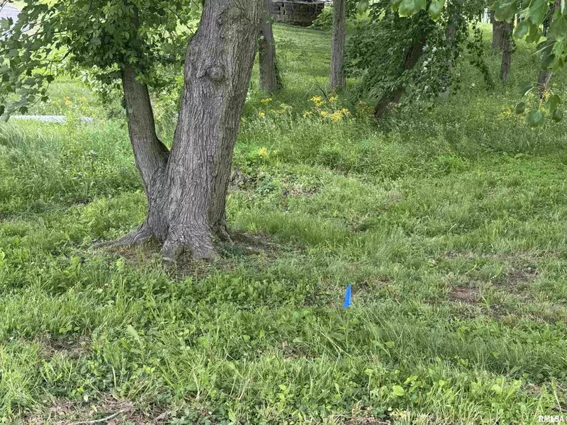 000 W DOUGLAS ST, Marion, IL 62959