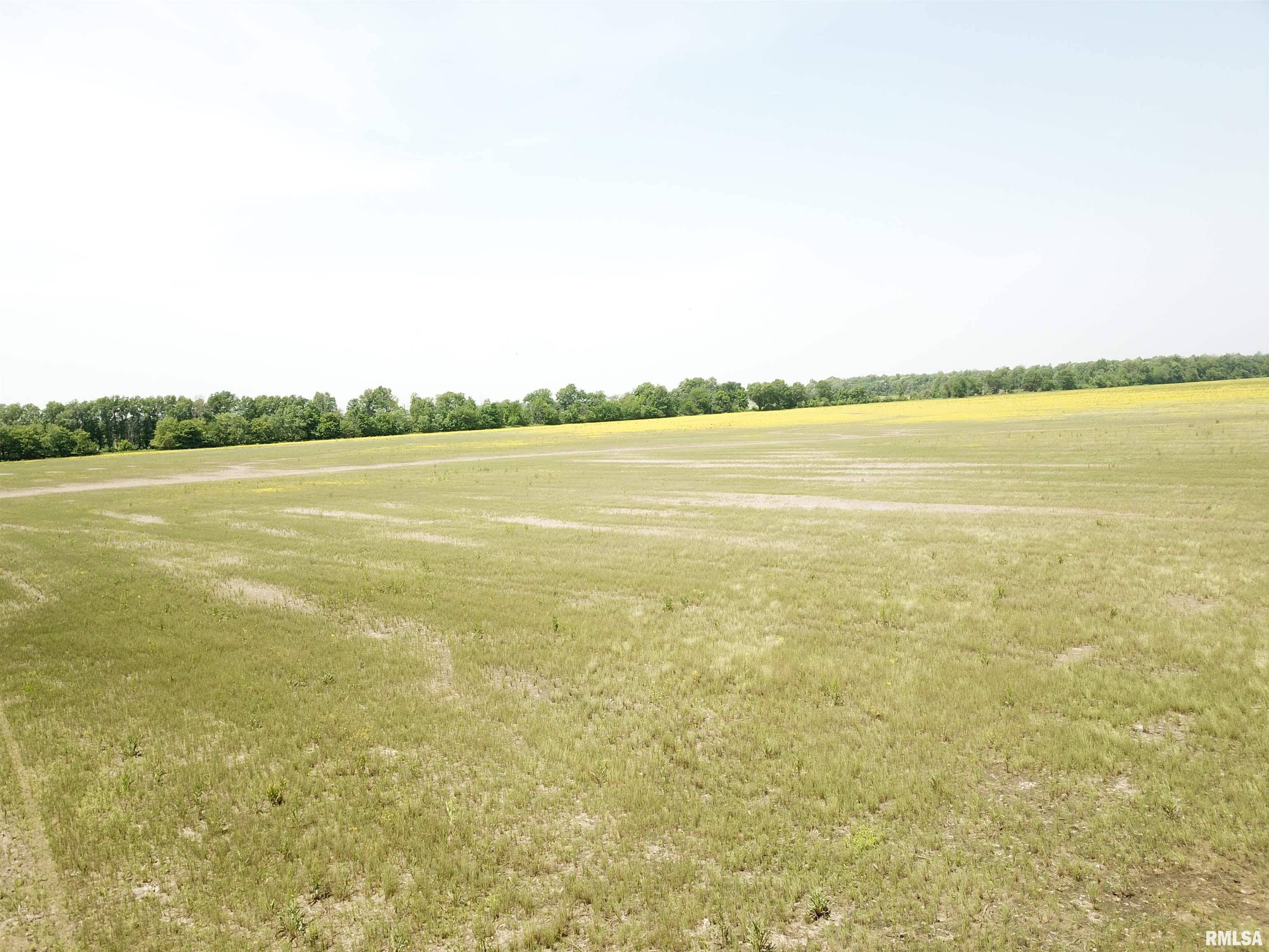 Keenes, IL 62851,000 County Road 275 E RD