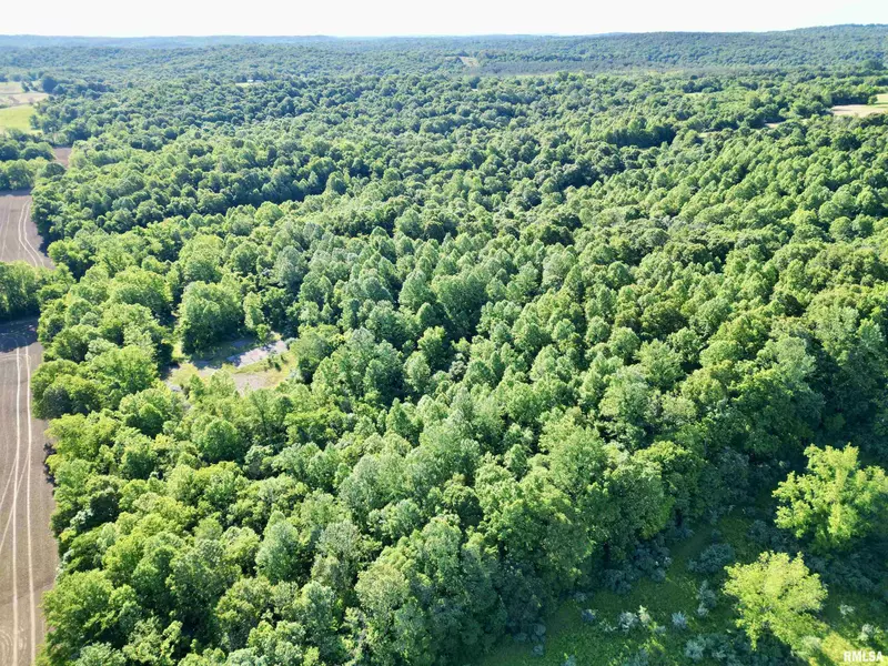 000 Yellow Springs RD, Elizabethtown, IL 62931