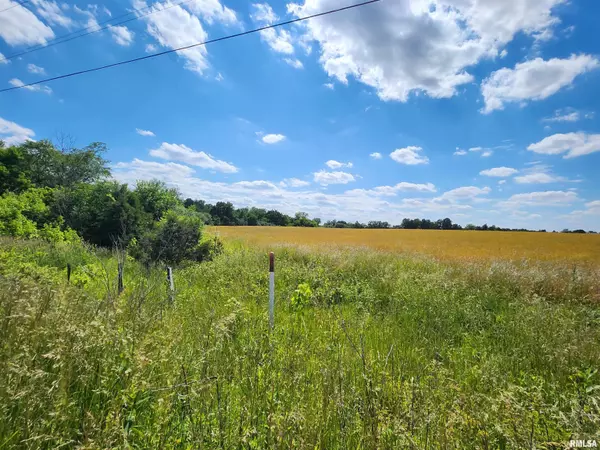 0000 N Panzier LN, Woodlawn, IL 62898