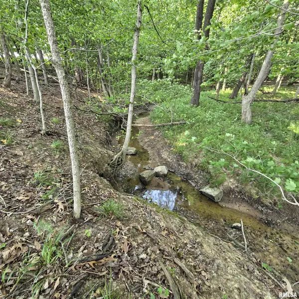 Kinmundy, IL 62854,000 WILSON RD