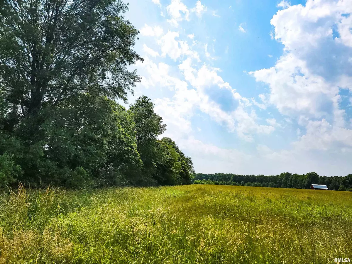 Flora, IL 62839-0000,199 Hanging Rock RD