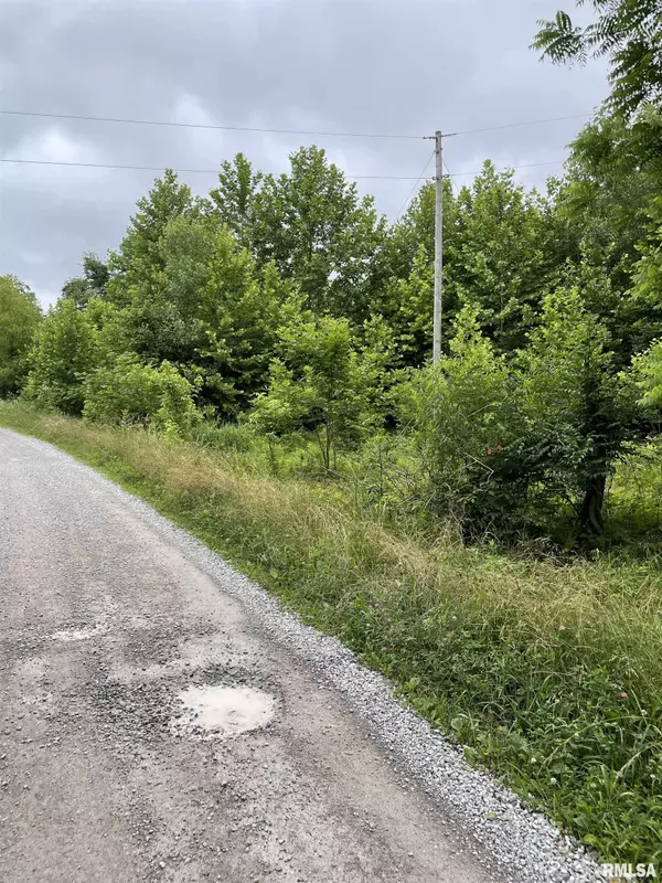Dongola, IL 62926,247 Happy Holler RD