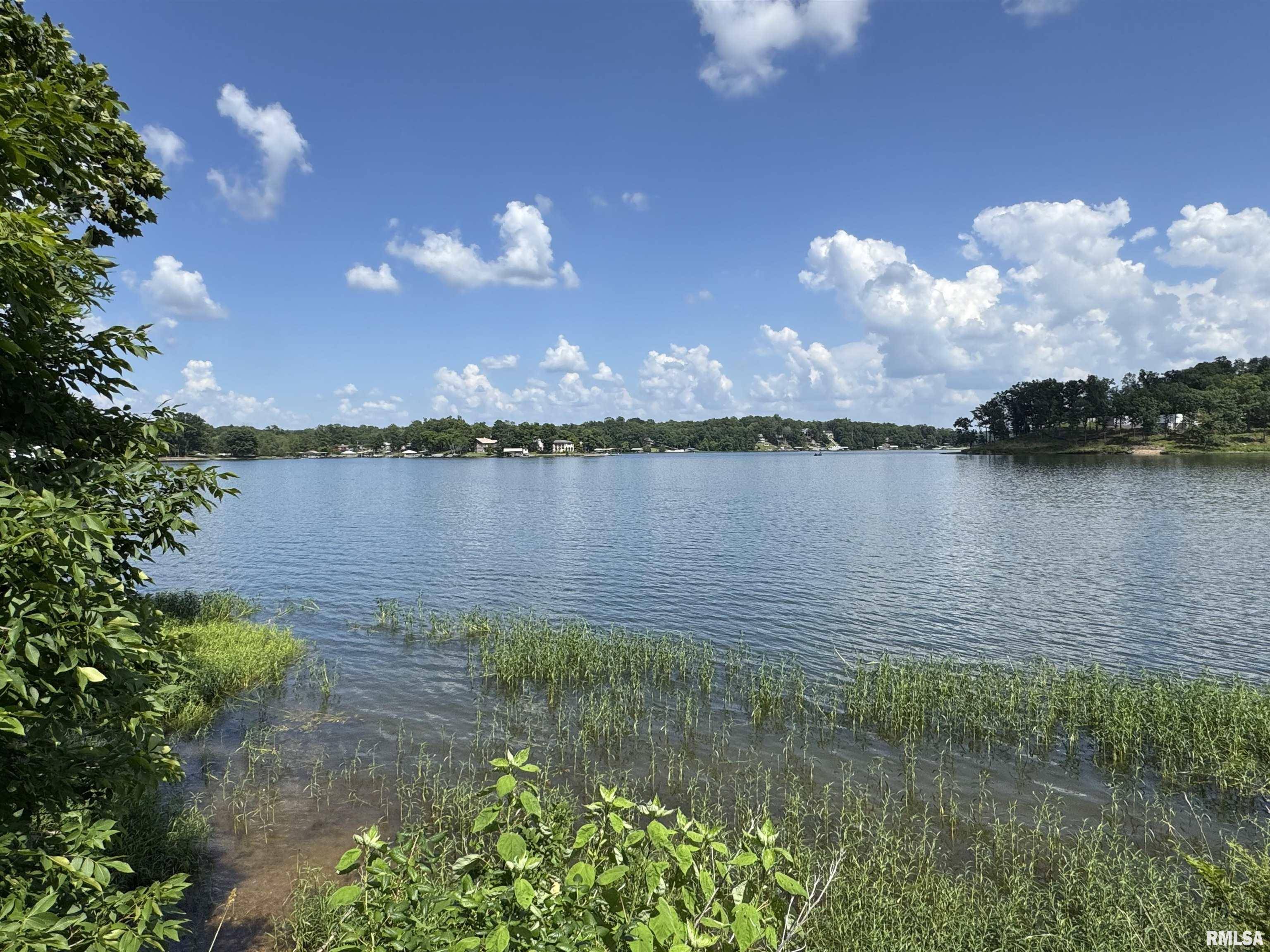 Goreville, IL 62939,0000 N LAKESHORE DR