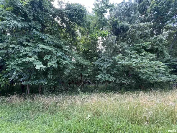 Goreville, IL 62939,0000 S LAKESHORE DR