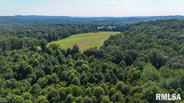 Goreville, IL 62939,000 Martin Cave LN