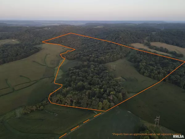 Hanover, IL 61041,000 W Steele RD