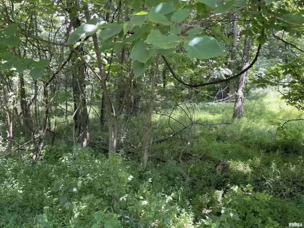 Lot 246 MARK DR, Goreville, IL 62939