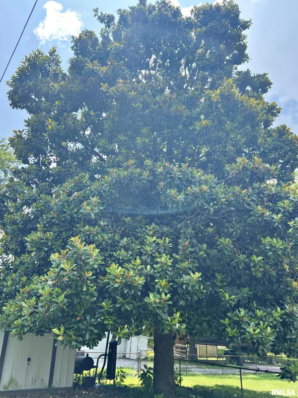 Metropolis, IL 62960,710 E 16TH ST