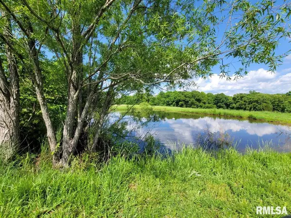New Burnside, IL 62967,470 WASHINGTON LN