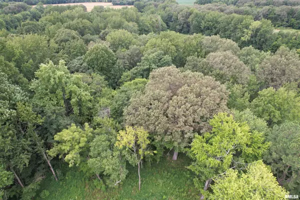 Metropolis, IL 62960,4576 BENTON RD