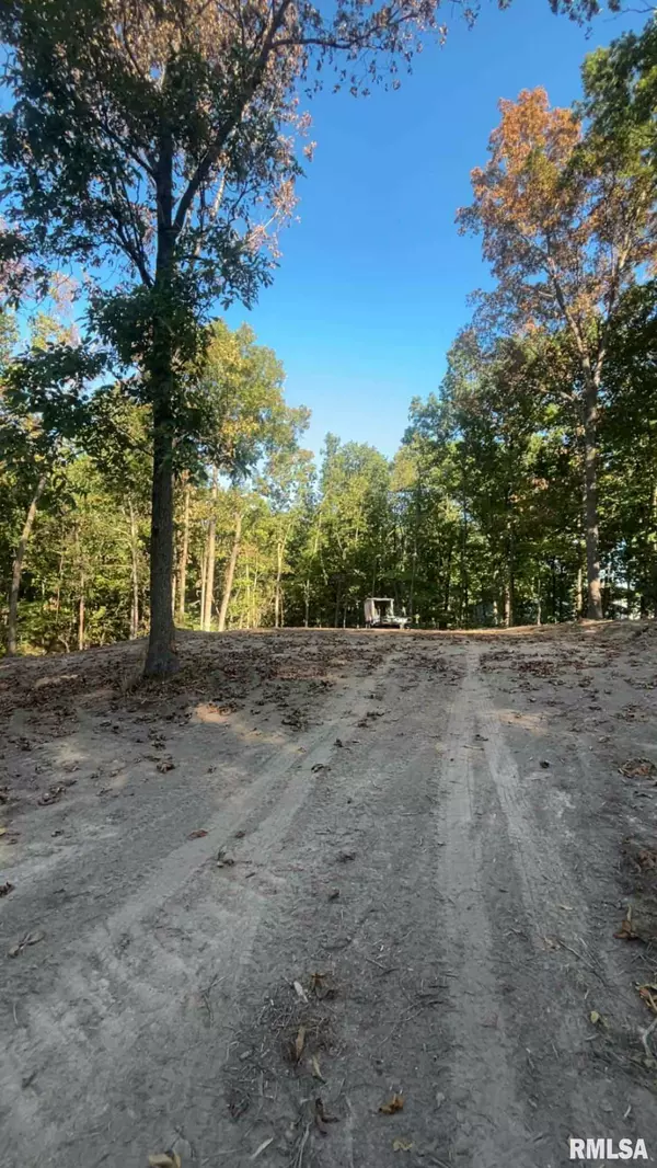 Woodlawn, IL 62898,16154 N HICKORY LN