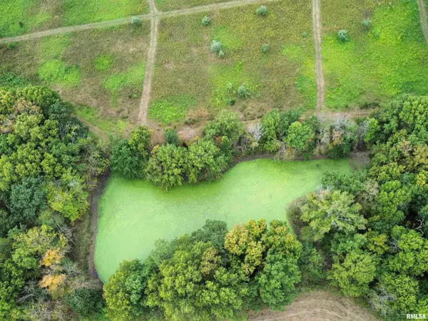 Cisne, IL 62823,000 950 E County Road