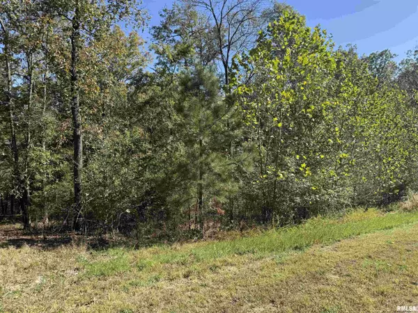 Goreville, IL 62939,0000 Clifty LN