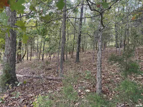 Goreville, IL 62939,0000 Clifty LN