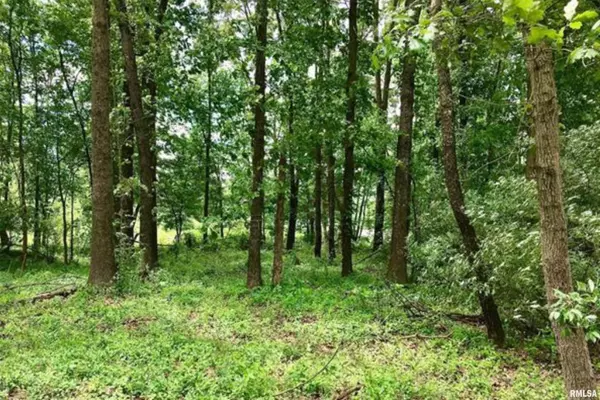 TBD EASTLAND RD, Marion, IL 62959