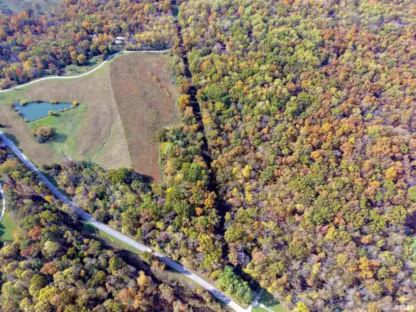 Cobden, IL 62920,1143 N COUNTY LINE RD