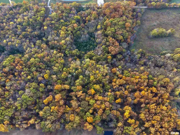 Mt Vernon, IL 62864,18492 Moonbeam LN